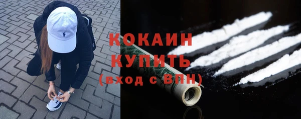 кокс Алексин