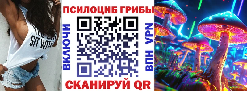 Галлюциногенные грибы MAGIC MUSHROOMS  как найти закладки  Чистополь 